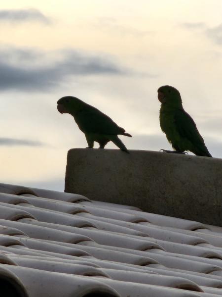 Chácara após o garapa na BR 381
