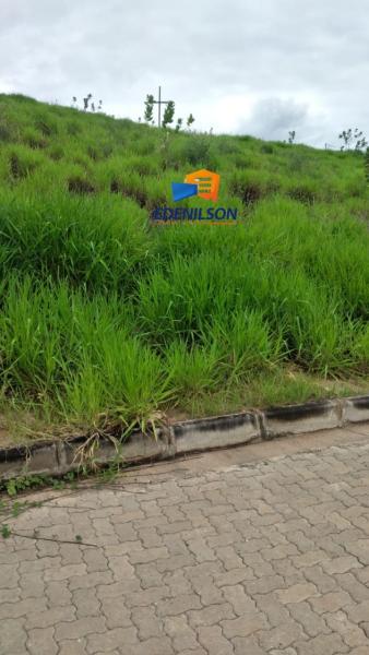 Excelente lote no Terra Nova  250 MS2