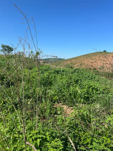 Lote 500m Castelo