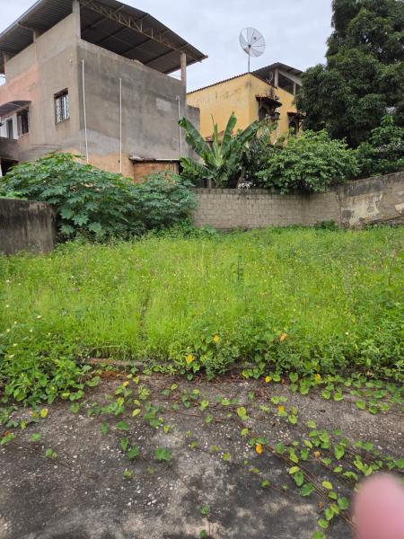 Casa lote inteiro