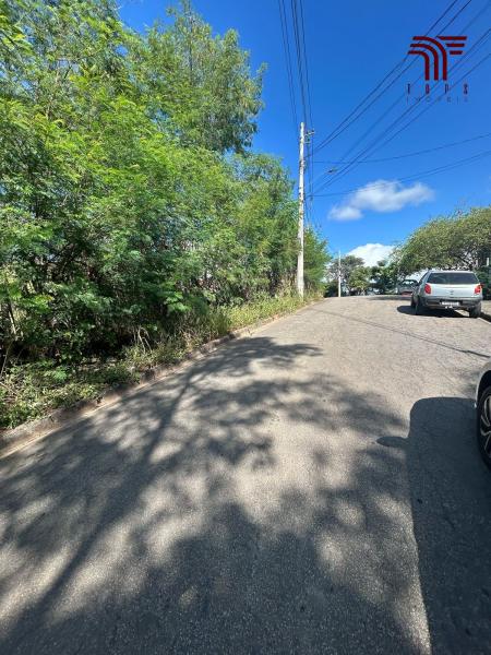 Lote com 1276 metros Iguaçu