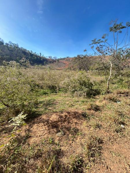 Chacreamento Alegria em Alpercata
