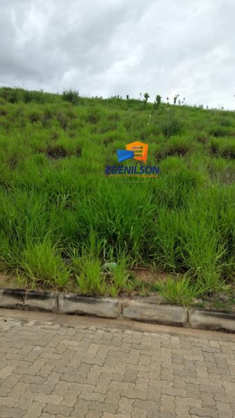 Excelente lote no Terra Nova  250 MS2