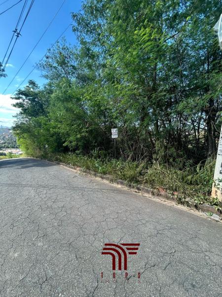 Lote com 1276 metros Iguaçu