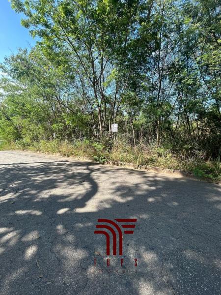 Lote com 1276 metros Iguaçu