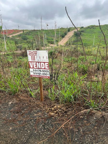 Lote 255m Castelo