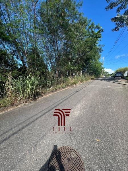 Lote com 1276 metros Iguaçu