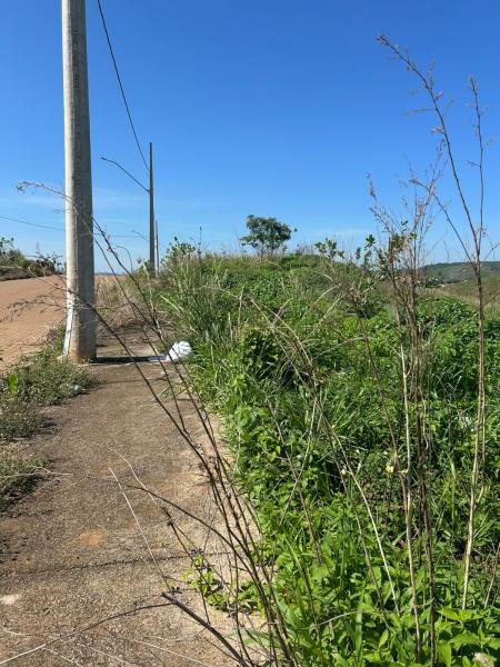 Lote 500m Castelo