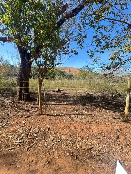 Chacreamento Alegria em Alpercata