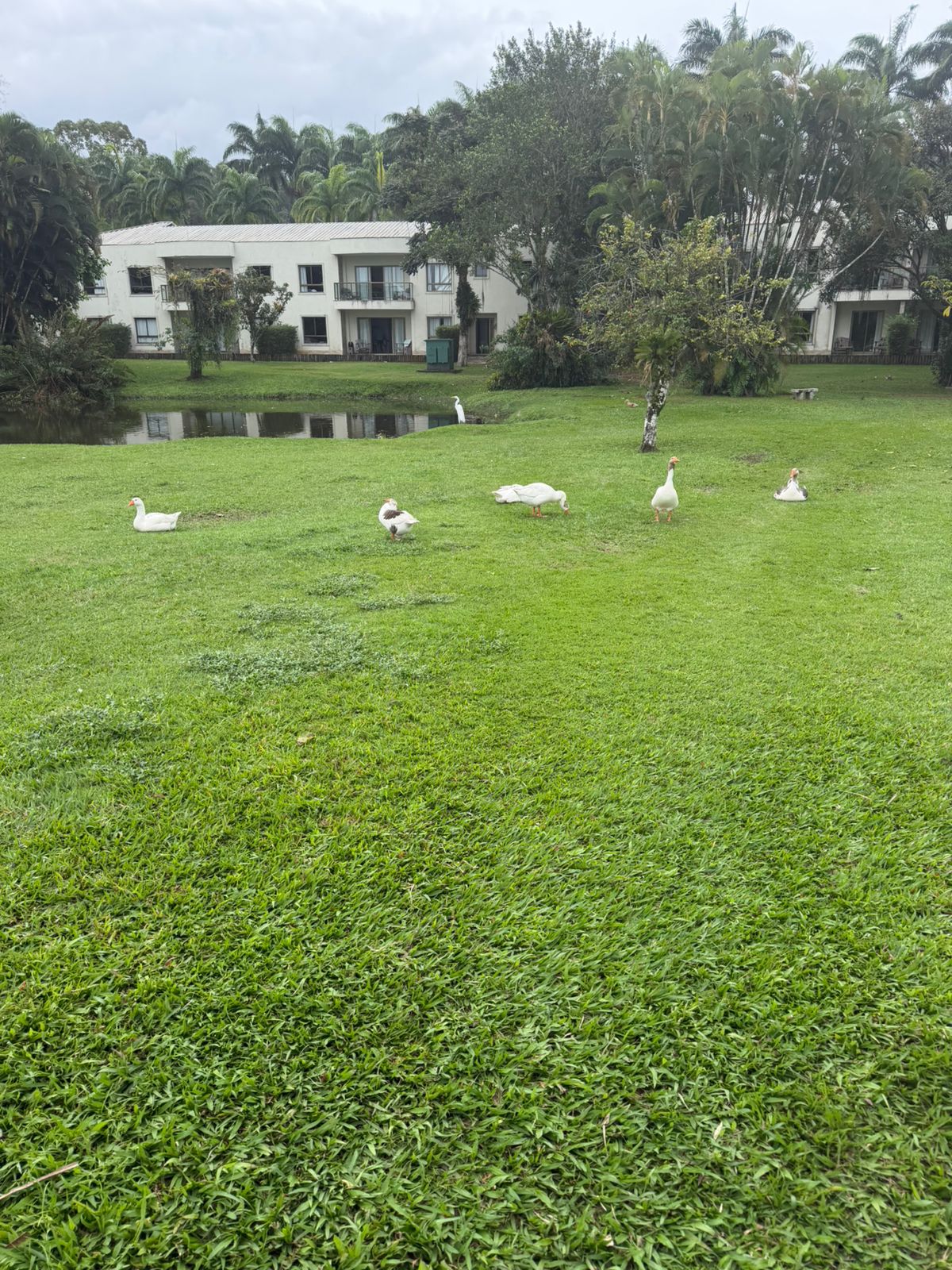 Cota mult propriedade em Angra dos Reis