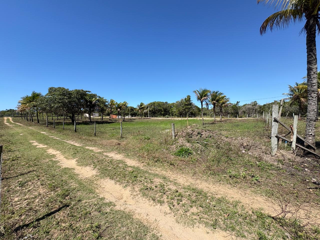 🌿🌊 OPORTUNIDADE EM BARRA NOVA – LOTE COM 1.000m²! 🏡☀️