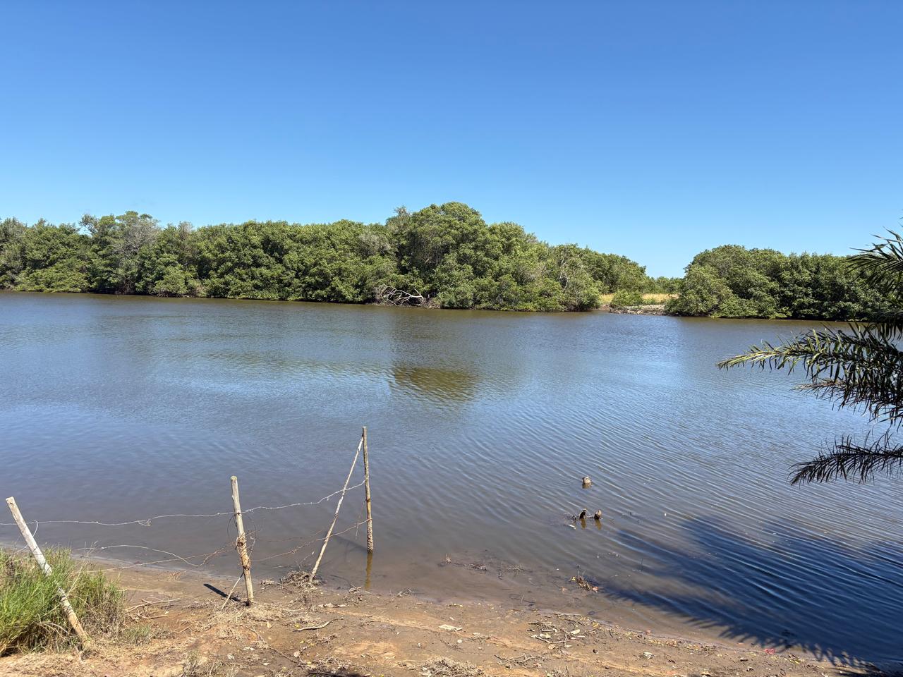 🌿🌊 OPORTUNIDADE EM BARRA NOVA – LOTE COM 1.000m²! 🏡☀️