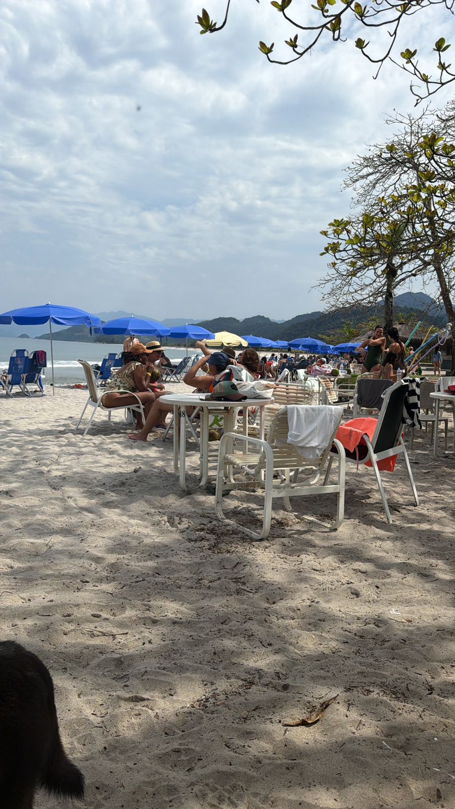 Cota mult propriedade em Angra dos Reis