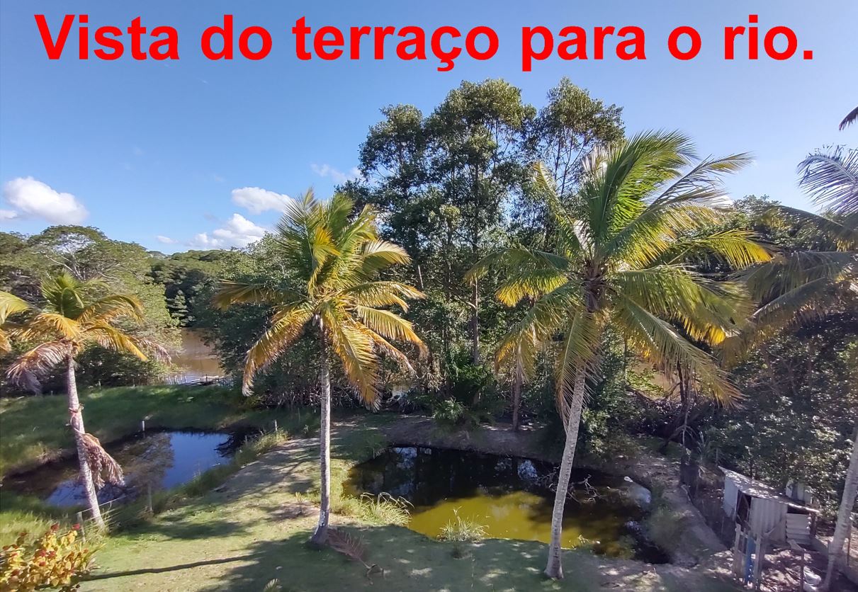 🌿🏡 CHÁCARA À VENDA EM BARRA NOVA – SÃO MATEUS/ES | NATUREZA E ACESSO AO RIO MARIRICU 🌊✨