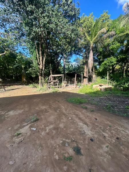 Chácara 2000 e 3000m Capim