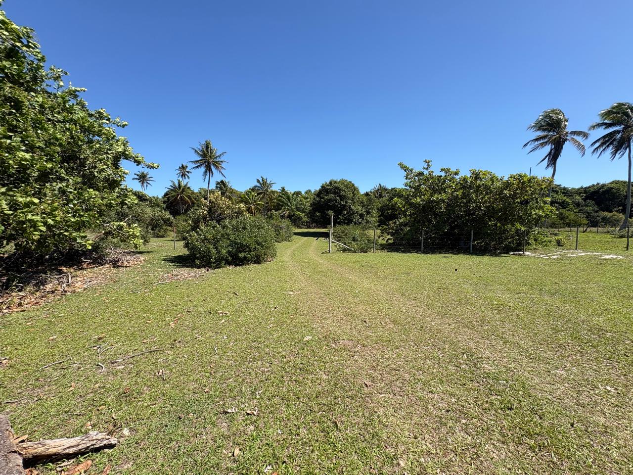 🌿🏡 OPORTUNIDADE EM BARRA NOVA – LOTE À VENDA! 🌊☀️