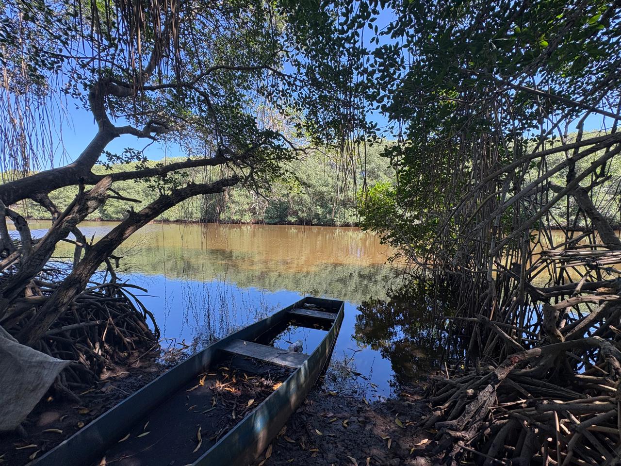 🌿🏡 CHÁCARA À VENDA EM BARRA NOVA – SÃO MATEUS/ES | NATUREZA E ACESSO AO RIO MARIRICU 🌊✨