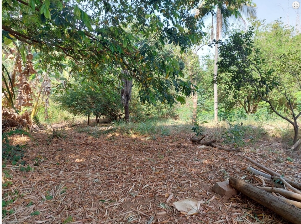 Ilha no Rio Doce