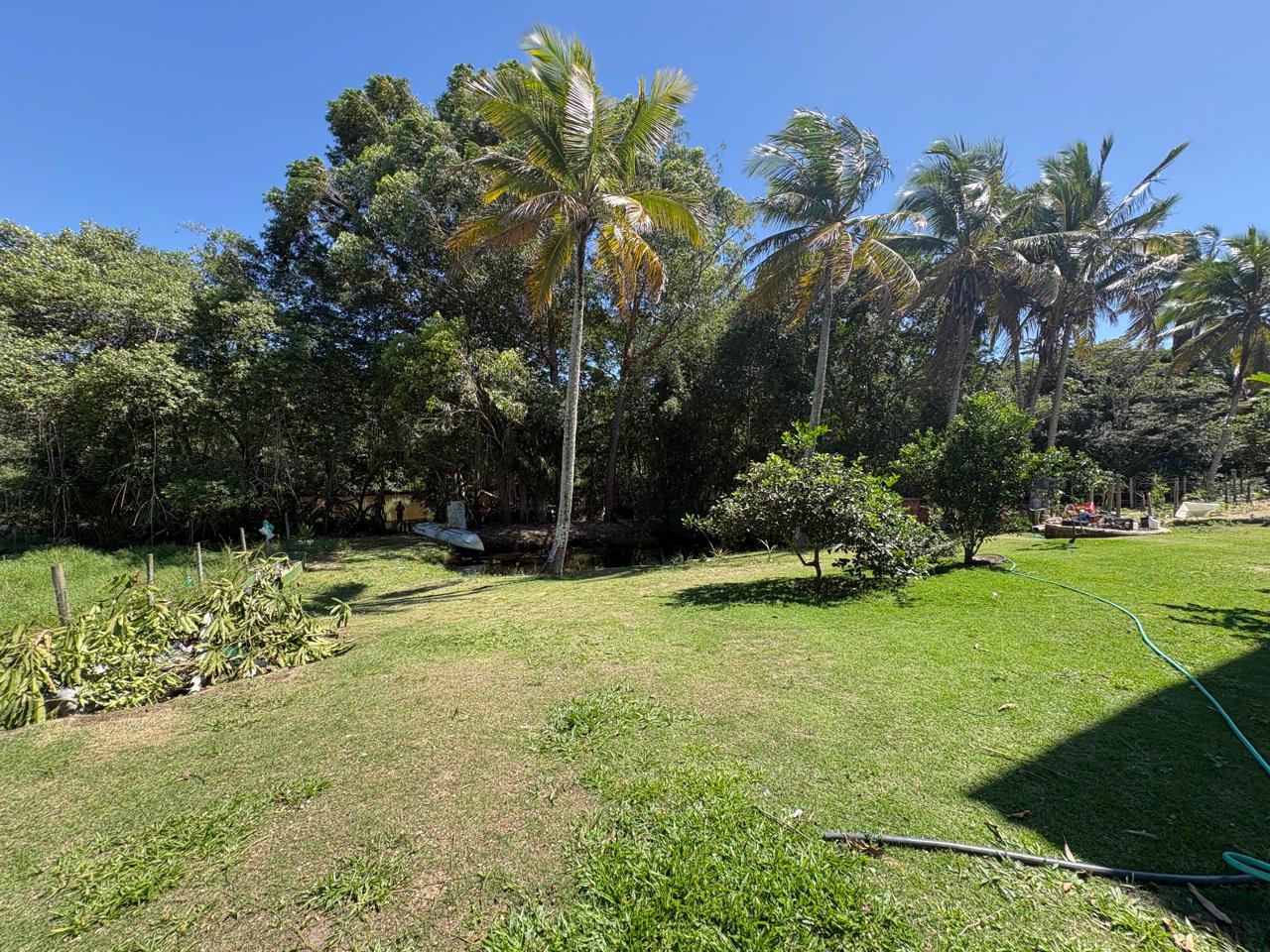 🌿🏡 CHÁCARA À VENDA EM BARRA NOVA – SÃO MATEUS/ES | NATUREZA E ACESSO AO RIO MARIRICU 🌊✨