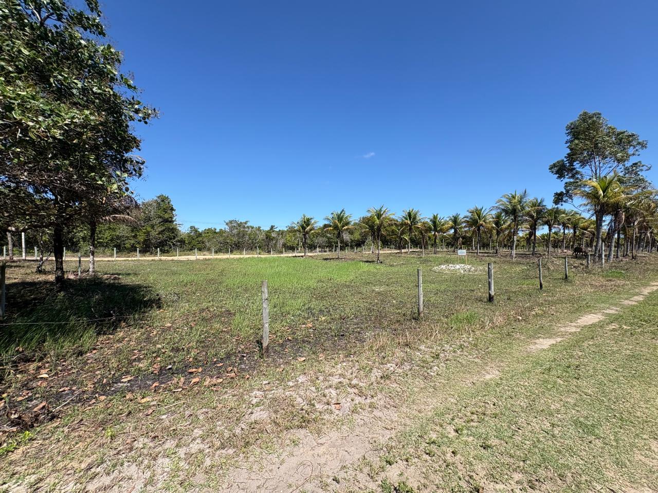 🌿🌊 OPORTUNIDADE EM BARRA NOVA – LOTE COM 1.000m²! 🏡☀️